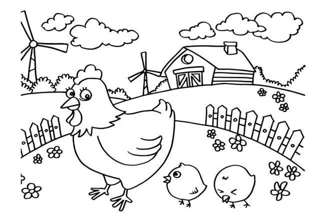 农场里的母鸡和小鸡简笔画