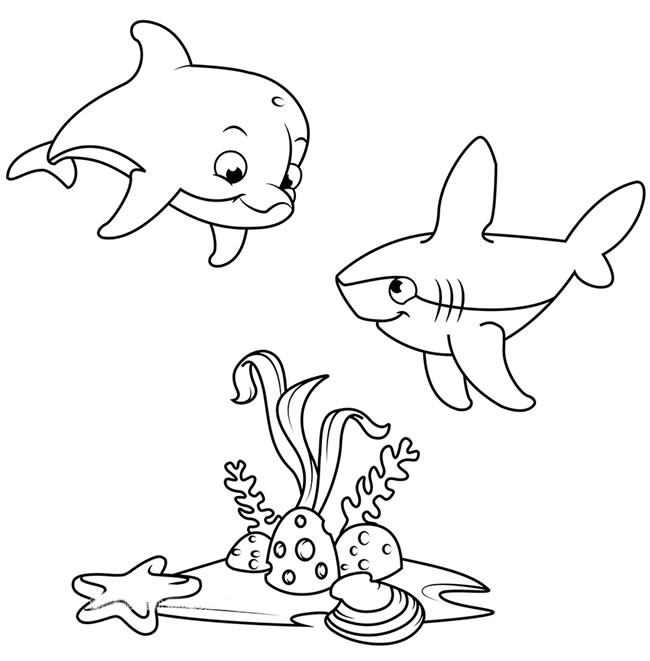 海底世界海豚和鲨鱼简笔画