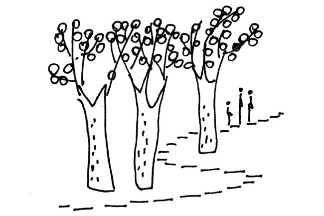 分享几幅秋天的简笔画