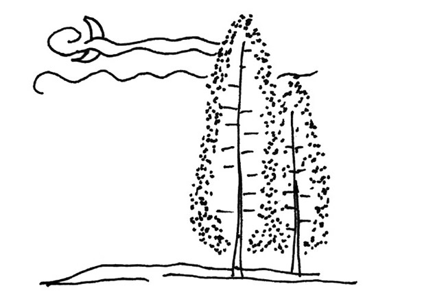分享几幅秋天的简笔画
