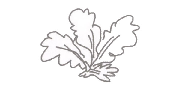 小村舍的简笔画步骤