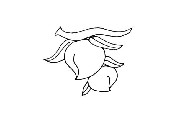 树枝上的水蜜桃简笔画