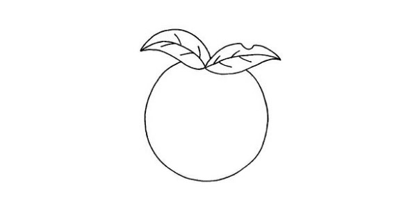 卡通的苹果简笔画