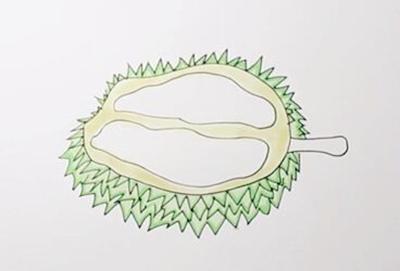 生动形象的榴莲简笔画