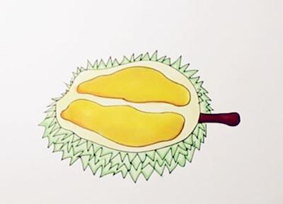 生动形象的榴莲简笔画