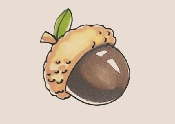 橡果的画法步骤
