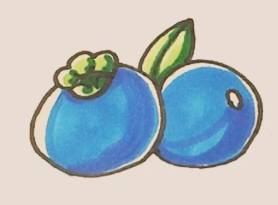 蓝莓怎么画最简单