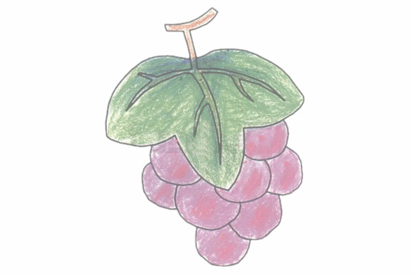 涂色的葡萄简笔画