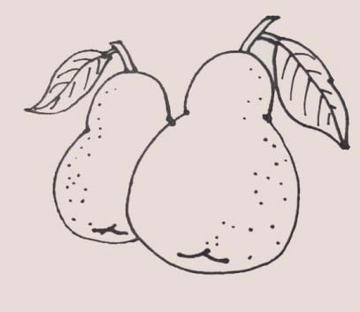 黄色的梨子简笔画