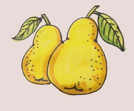 黄色的梨子简笔画
