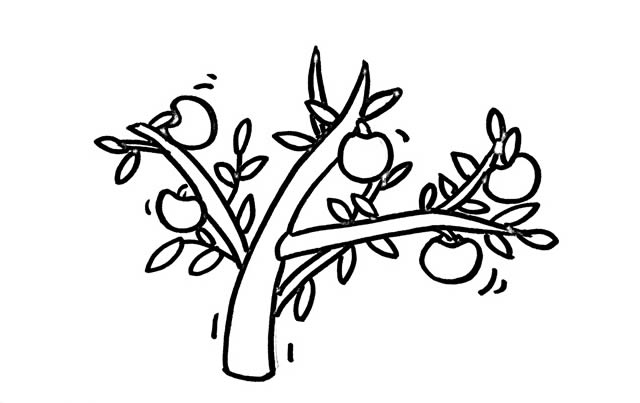 挂满树枝的苹果简笔画