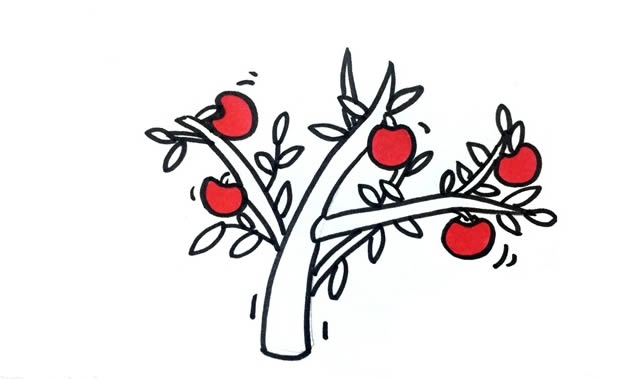 挂满树枝的苹果简笔画