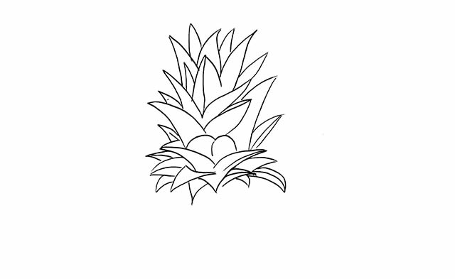 非常真实的菠萝简笔画