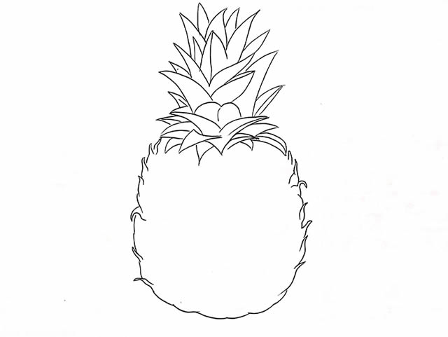 非常真实的菠萝简笔画