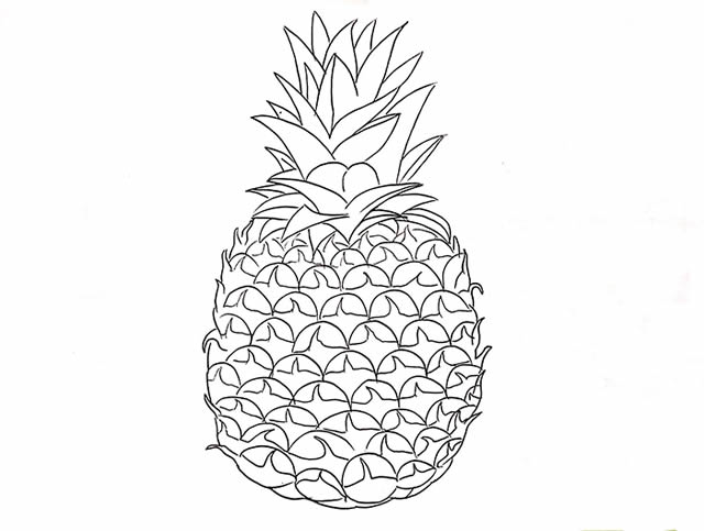 非常真实的菠萝简笔画