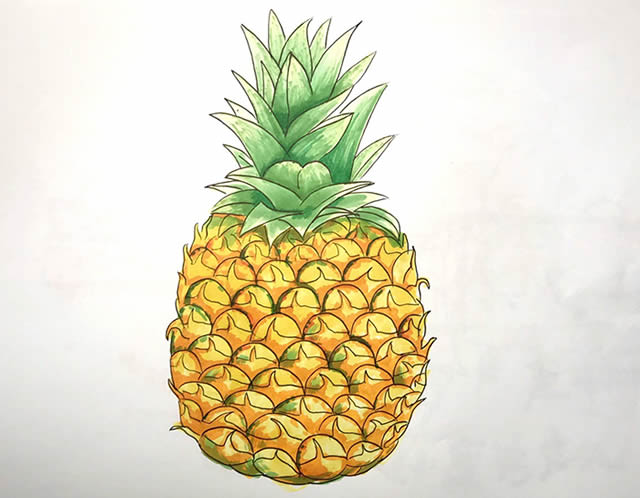 非常真实的菠萝简笔画