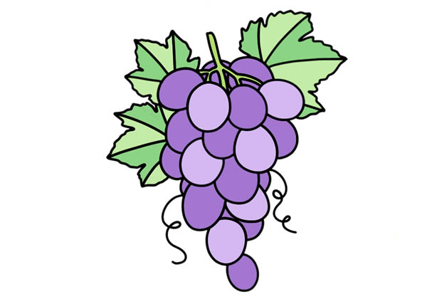 一串紫葡萄怎么画
