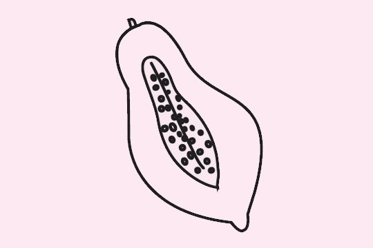 分享几幅关于木瓜的简笔画