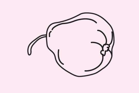 可口的香梨简笔画 可口的香梨简笔画
