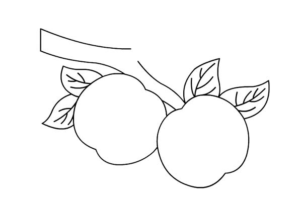 挂在树上的桃子简笔画