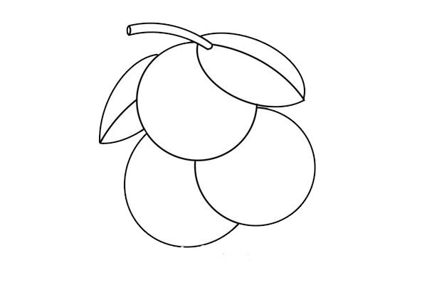 非常漂亮的荔枝简笔画 非常漂亮的荔枝简笔画