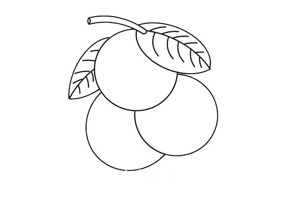 非常漂亮的荔枝简笔画 非常漂亮的荔枝简笔画