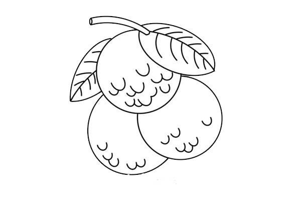 非常漂亮的荔枝简笔画 非常漂亮的荔枝简笔画