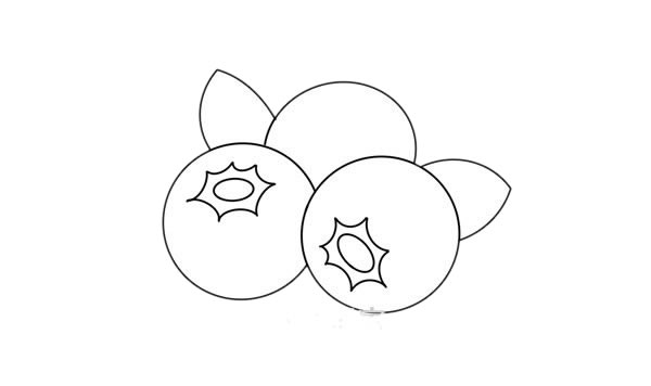 简单好看的蓝莓简笔画