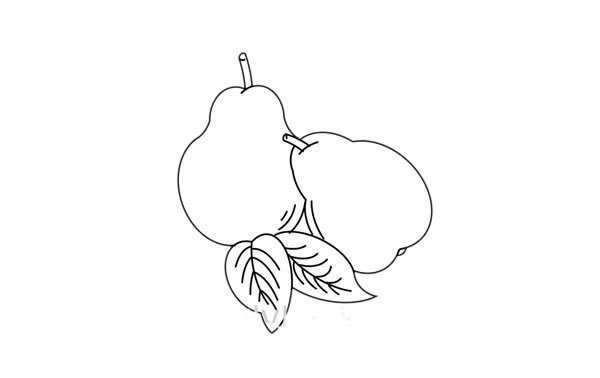 梨子简笔画怎么画