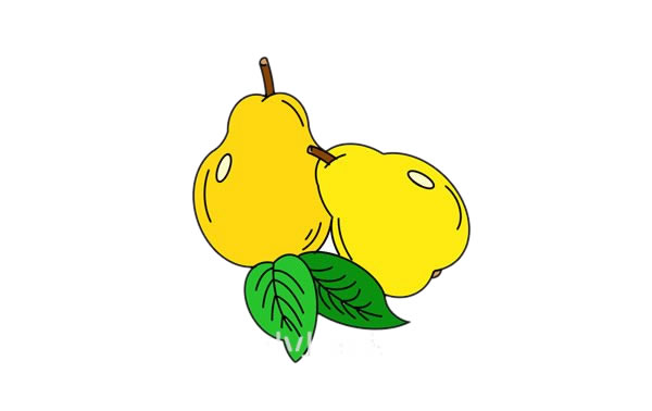 梨子简笔画怎么画