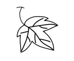 简单易学的葡萄简笔画