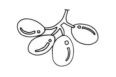 简单易学的葡萄简笔画