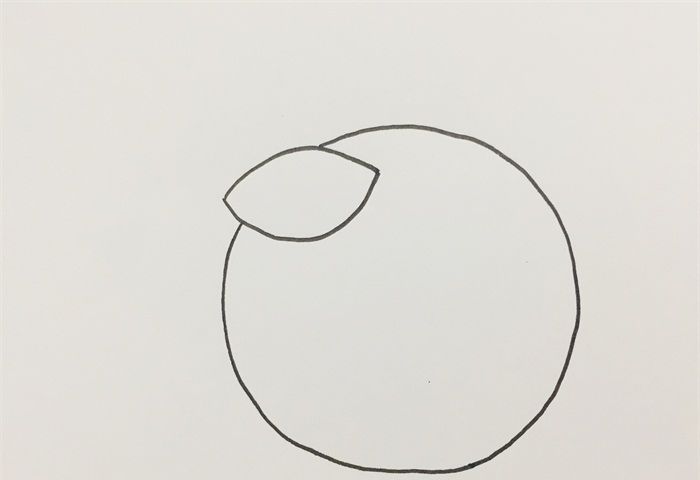 橘子的画法