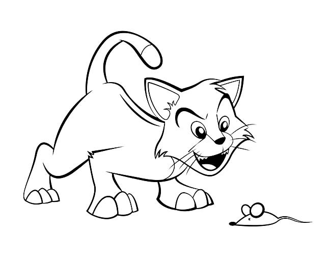 关于猫和老鼠的简笔画