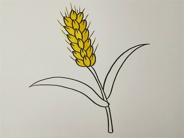儿童学画麦穗简笔画的画法