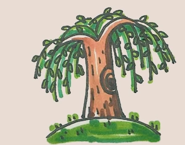 枝繁叶茂的柳树简笔画