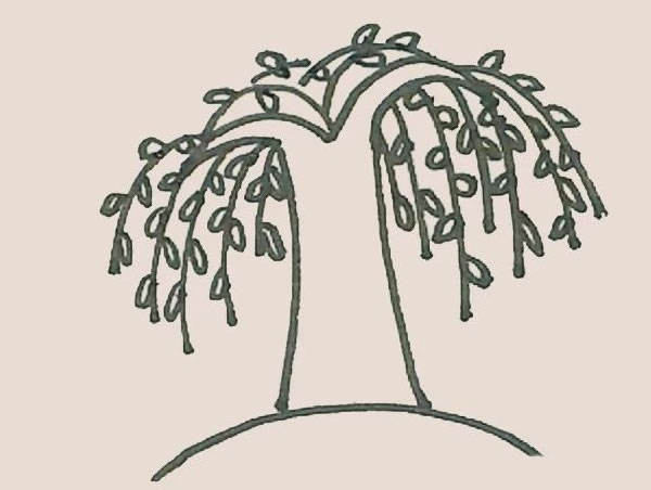 枝繁叶茂的柳树简笔画