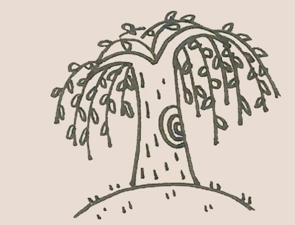 枝繁叶茂的柳树简笔画