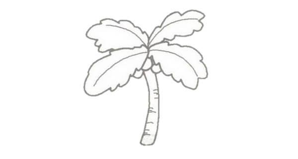 椰子树简笔画的画法步骤