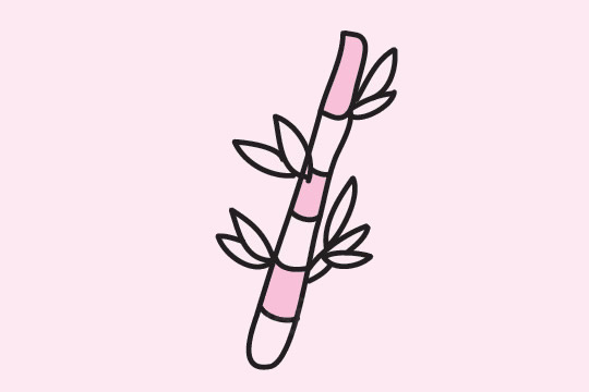 5款关于竹子的简笔画大全