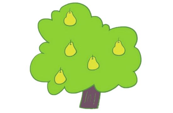 关于梨树的简笔画