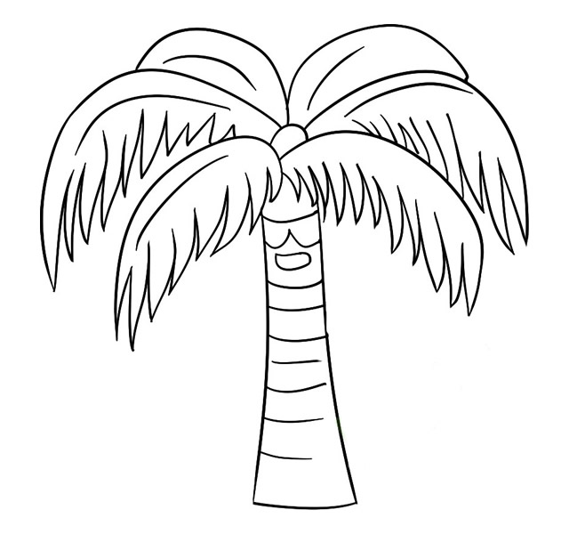 一棵粗壮的椰子树简笔画教程