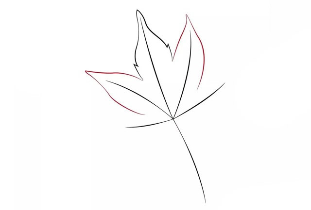 带颜色的枫叶简笔画怎么画