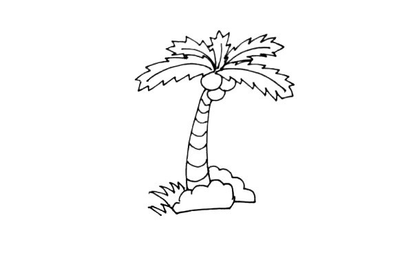 海岛上的椰树简笔画教程