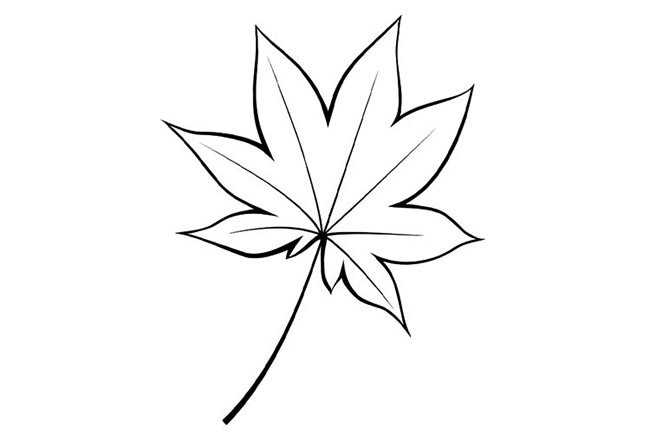 简单的枫叶怎么画