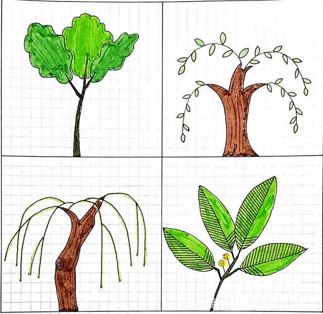 一组小清新的大树简笔画