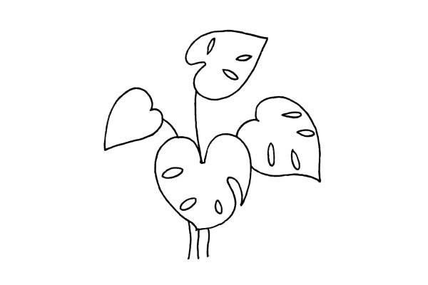 关于龟背竹的简笔画