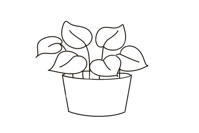 涂色的绿萝简笔画