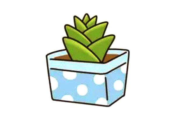 一步步教你画多肉植物简笔画