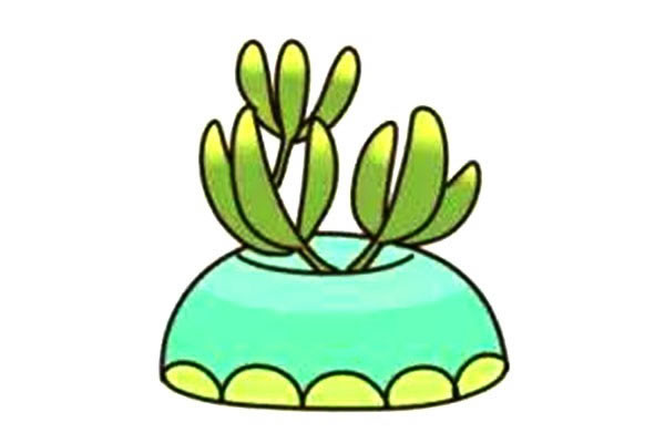 漂亮的多肉植物简笔画教程 漂亮的多肉植物简笔画教程